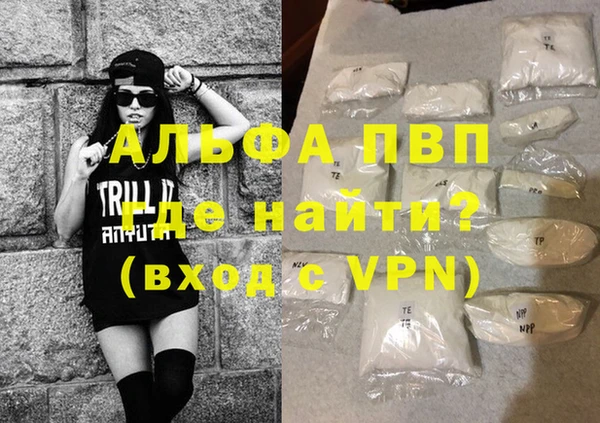 a pvp Магас