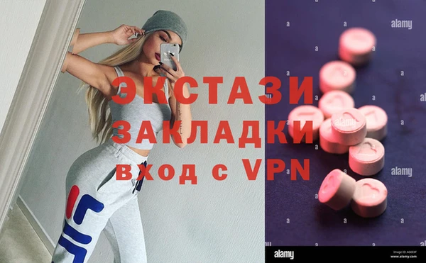 a pvp Магас
